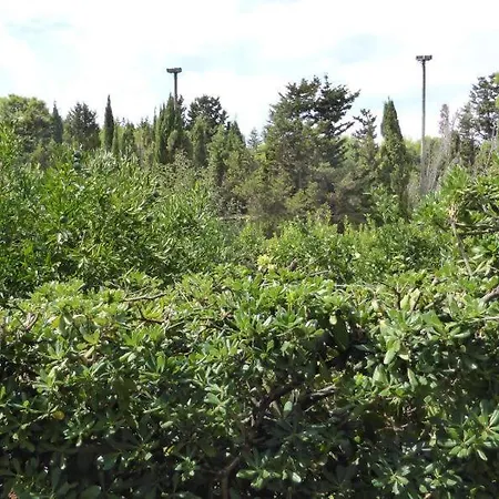 Fraula Salento Couette-café